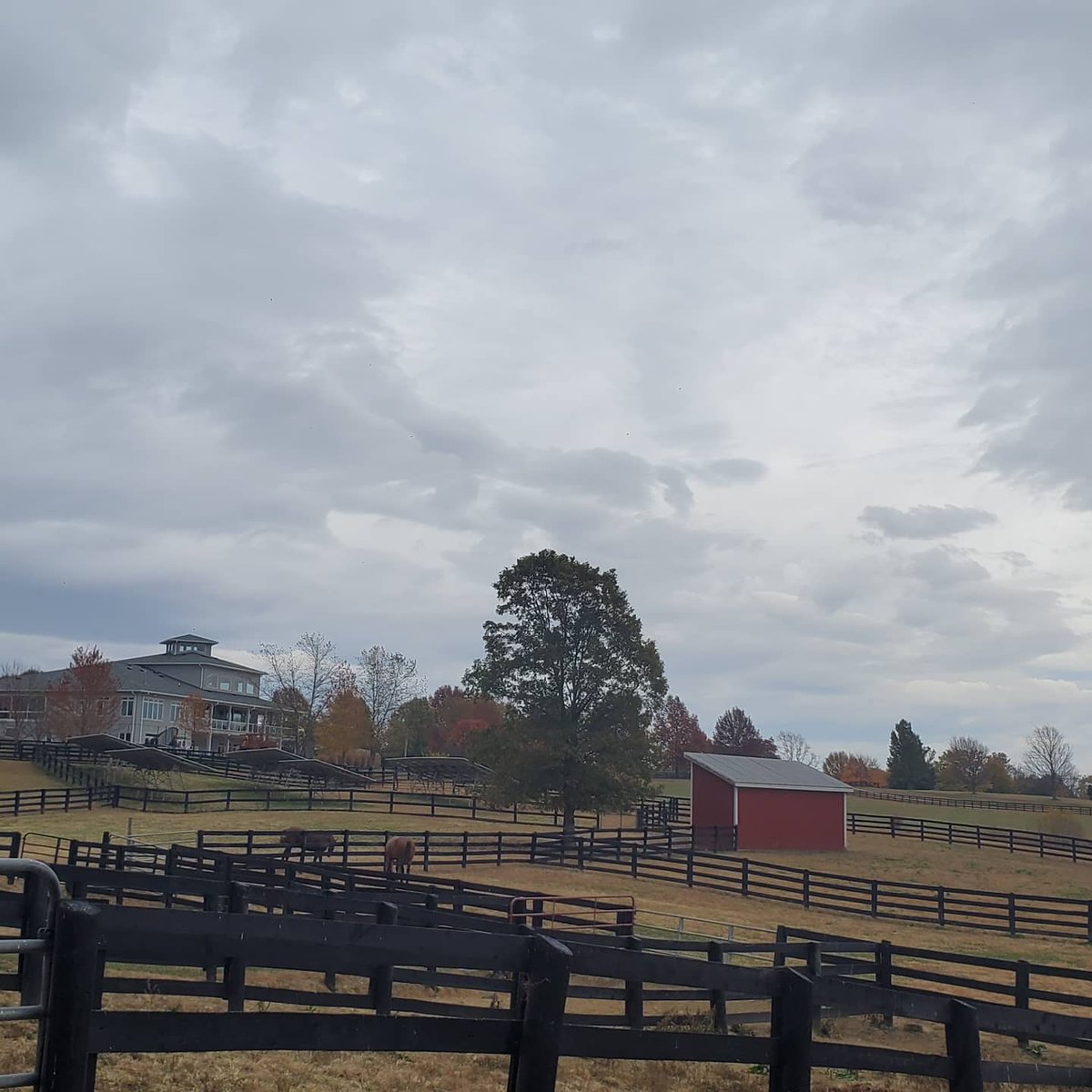 ohs_ncffa's tweet photo. A huge thank you to Josh Faulkner, the trainer &amp; farm manager at Leavell Farms for giving us a tour of the farm and sharing his expertise to our Horse Evaluation team! https://t.co/Rz7GJg84RP