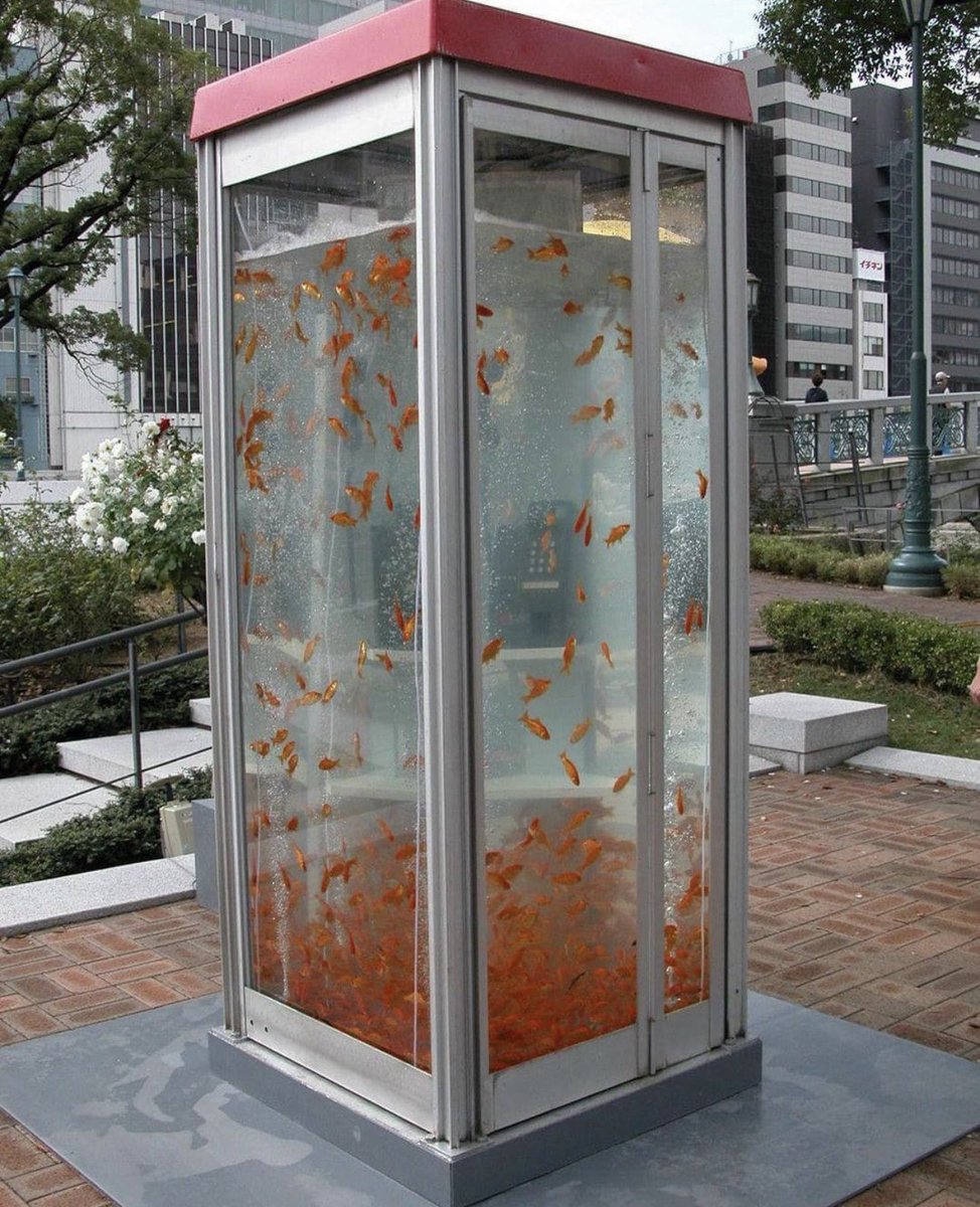 Libs on Social 🫂 (@libsonsocial) on Twitter photo 