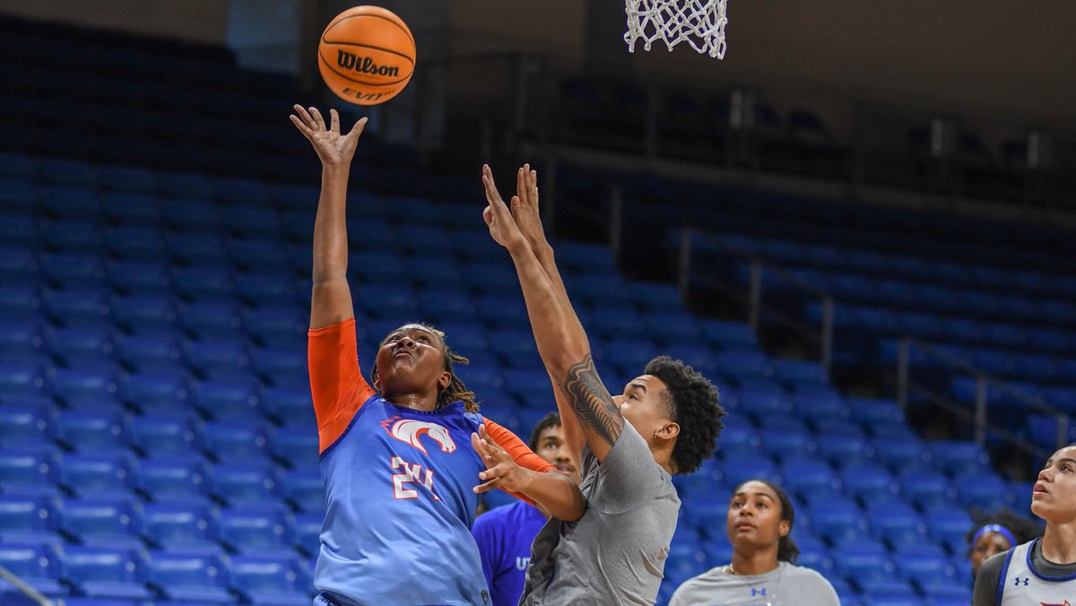 UTA Lady Mavs tweet media
