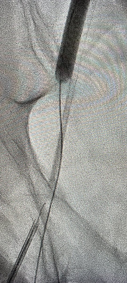 Alex Truesdell tweet media