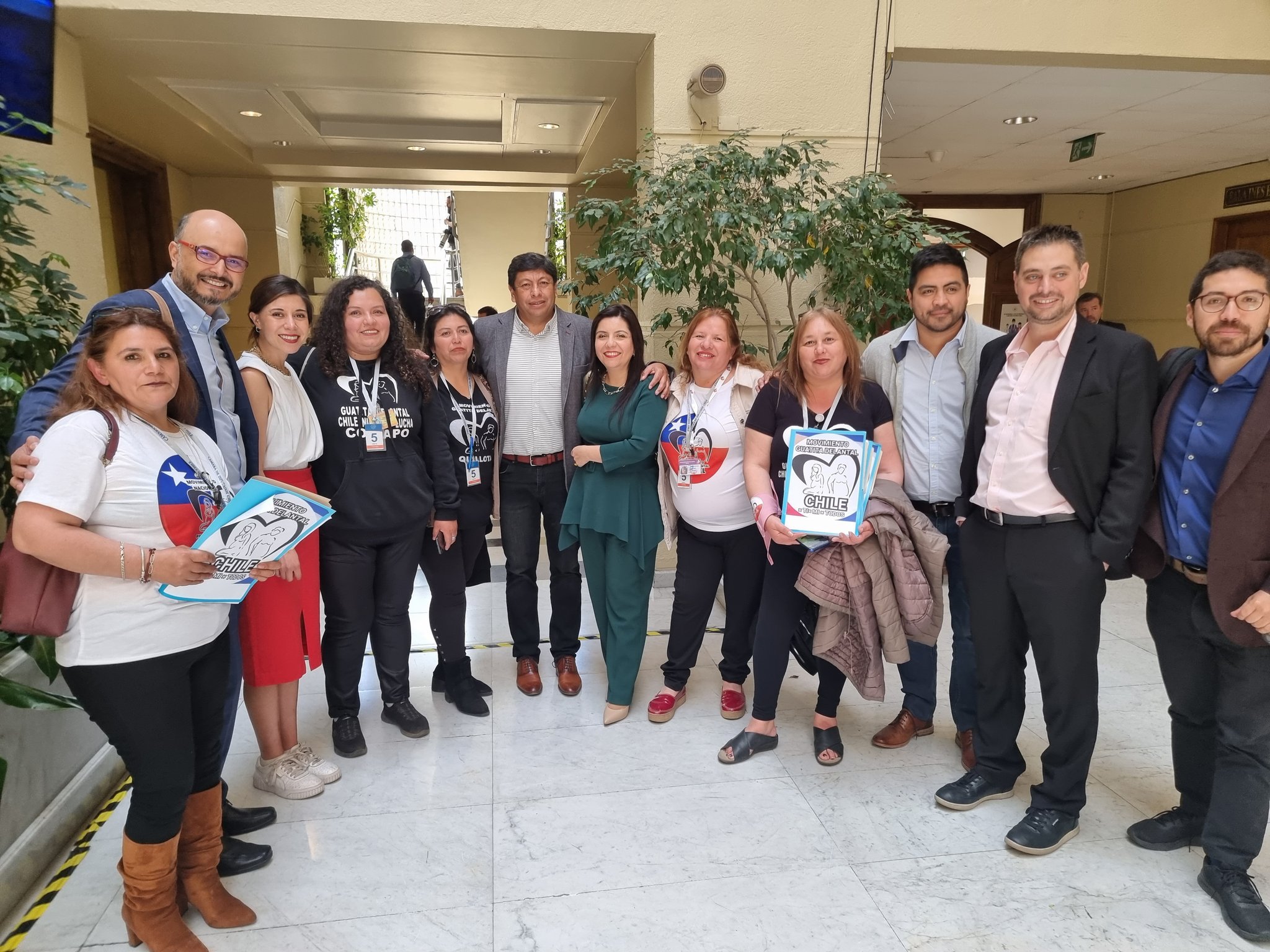 Cristian Tapia Ramos (Ctapiadiputado) / Twitter