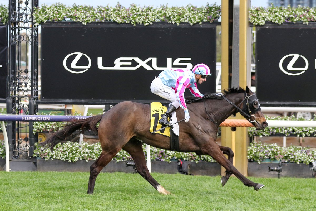 KarakaChat's tweet photo. #HighEmocean (NZ), who has now had 22 starts for 7 wins, 8 placings and A$705,635 in stakes after her big win at Wednesday's A$500,000 Group Three Apiam Animal Health Bendigo Cup (2400m) – almost 10 times her purchase price of $80,000 at Karaka 2018!
📰: https://t.co/g1oEERlUlw https://t.co/MjgUfuEuQz