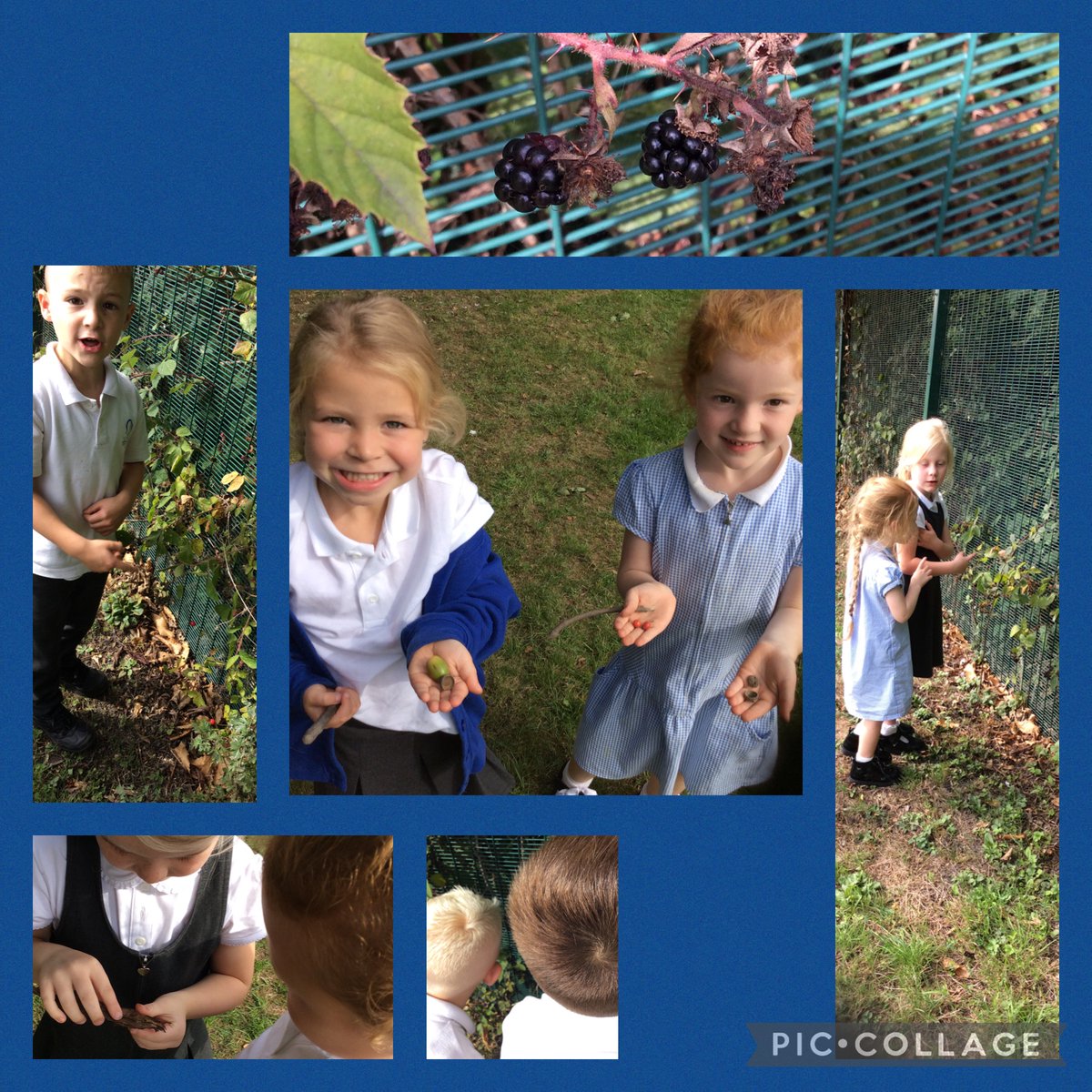 StMaryHighGreen's tweet photo. Y1 had a busy half term - they visited church to learn more about Baptism. They have been fabulous mathematicians using their star words in stem sentences. They have been looking for signs of change linked to the seasons. They can also name lots of trees in the local area #proud https://t.co/GEBu2AnUC3