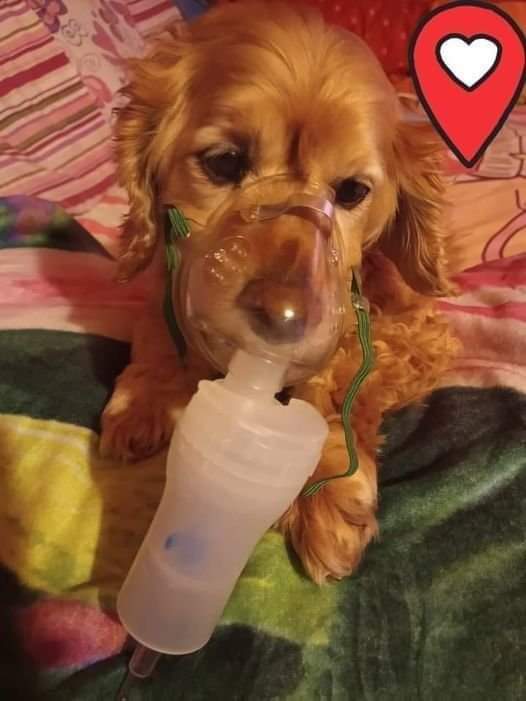 FgBj5JbWAAA8ihe?format=jpg&name=900x900