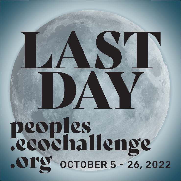 Ecochallenge.org tweet media