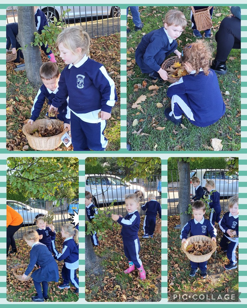 StJosephsPgroup's tweet photo. Playgroup have been on an Autumn walk over to the field to look for different sized and different coloured leaves, and other Autumn objects to collect in their baskets. The children had lots of fun and were very sensible crossing the road safely. Well done Playgroup. https://t.co/GNWy8814fZ