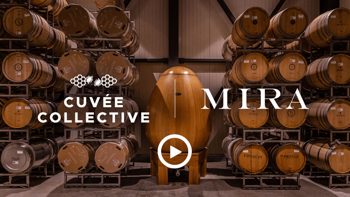 Check out this weeks <a href="/sommtv/">SOMM TV ®</a> episode featuring our NFT collection with Mira Winery 🍷

mag.sommtv.com/2022/10/mira-w…

#winenft #onflow #nft #wine 
<a href="/GaiaMarketplace/">Gaia Marketplace</a> <a href="/hellodapper/">Dapper</a> <a href="/flowverse_/">Flowverse 🌊 - Discover Flow Blockchain</a>