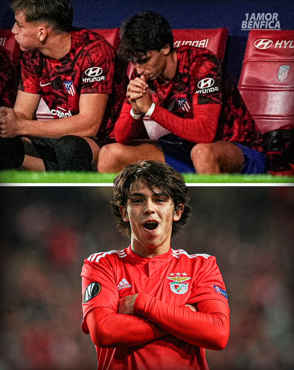 Volta para casa craque aqui damos-te o teu devido valor ! ❤️🦅