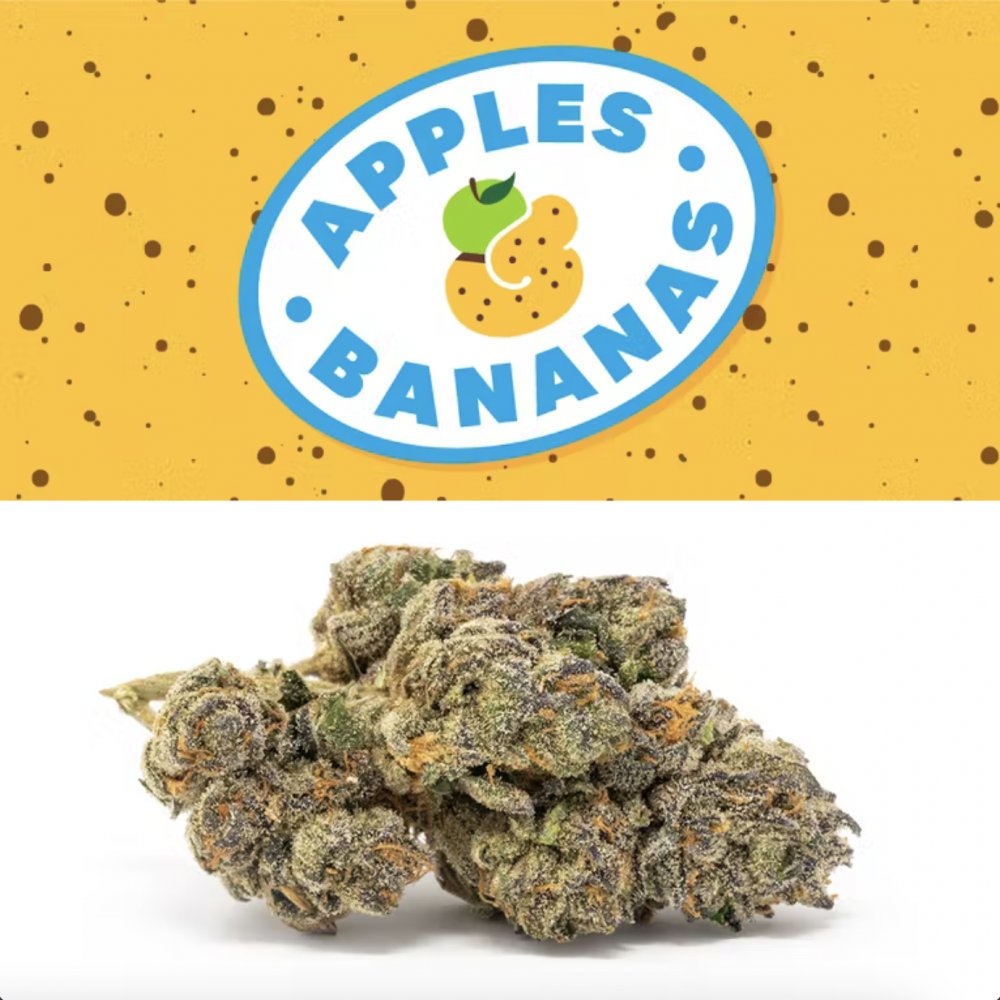 enlightenedcare's tweet photo. How many stoners does it take to screw in a light bulb?
One. We're stoners, not idiots. [:

Strain of the day: "APPLES &amp; BANANAS" mmmmh need I say more? https://t.co/EAFBkXMwbo