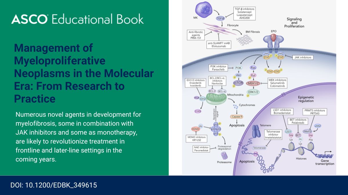 ❔ There are now 6 TKIs for #CML—but which to choose first? Read the #ASCOEdBook review by Drs. @kristenpettitmd, @a_razzle, Ehab L. Atallah & Jerald Radich: fal.cn/3t5cH #ASCO22 #MPNSM