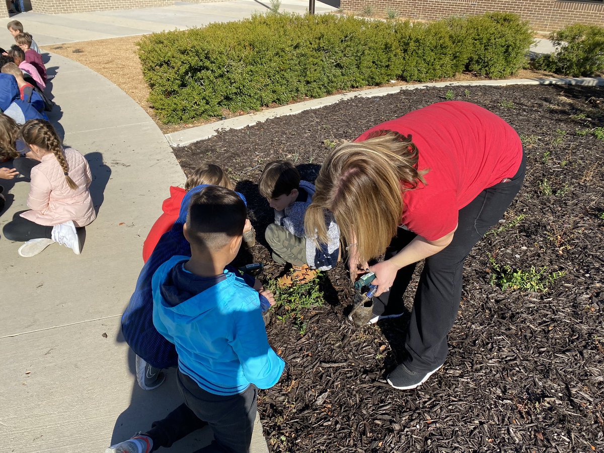 MrsKPirani's tweet photo. Tulip planting with a purpose! Thank you @coburncounselor! @canSTEM https://t.co/uRxRuwdp3V