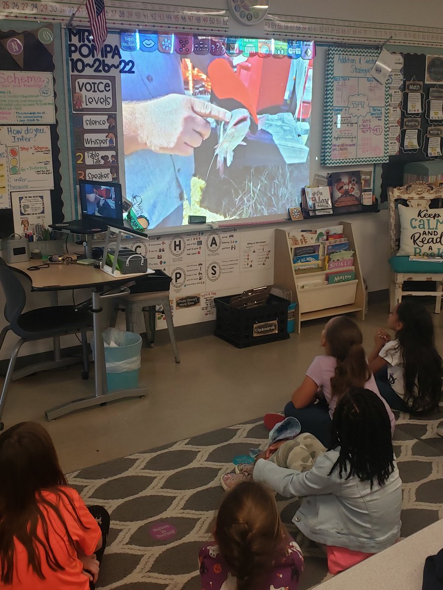 mrs_pompaclass's tweet photo. Today we met Mr. Darrell and learned about his catfish farm in Victoria, TX with the @TexasFarmBureau Farm From School program. We are building our agriculture and aquaculture literacy and our natural resources schema too. 🐟🎣🐟
#Pompa2ndgrade #TraditionTitans #FarmFromSchool https://t.co/FtPl07xqeK