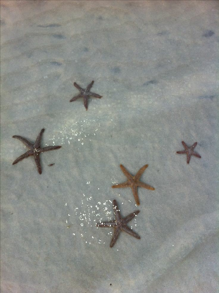 belsstudy's tweet image. 🧠: #studytwt | #studytwtbr 

• lays | ela/dela
• 2006
• segundo ano do ensino médio, PEI.
• foco direito: enem 2023 e vestibular.

◦۪ ۰۫ ·★:  vou usar a conta de forma motivacional, para conseguir me manter focada e incentivada a manter uma rotina de estudos.