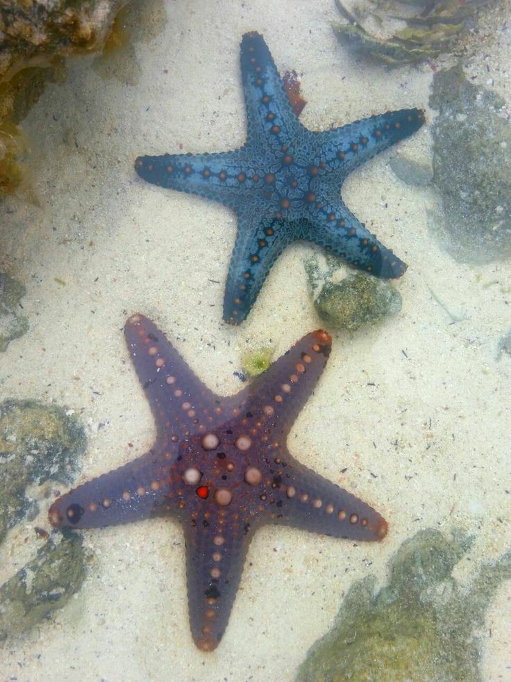 belsstudy's tweet image. 🧠: #studytwt | #studytwtbr 

• lays | ela/dela
• 2006
• segundo ano do ensino médio, PEI.
• foco direito: enem 2023 e vestibular.

◦۪ ۰۫ ·★:  vou usar a conta de forma motivacional, para conseguir me manter focada e incentivada a manter uma rotina de estudos.