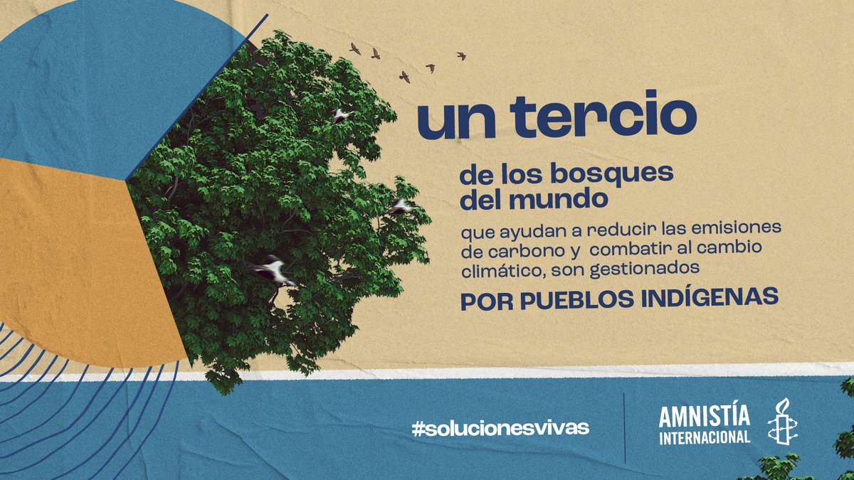 La protección de los bosques por parte de los pueblos indígenas y las personas defensoras es un pilar para el combate al cambio climático. Son #solucionesvivas a esta crisis que amenaza la vida en la Tierra 🌲