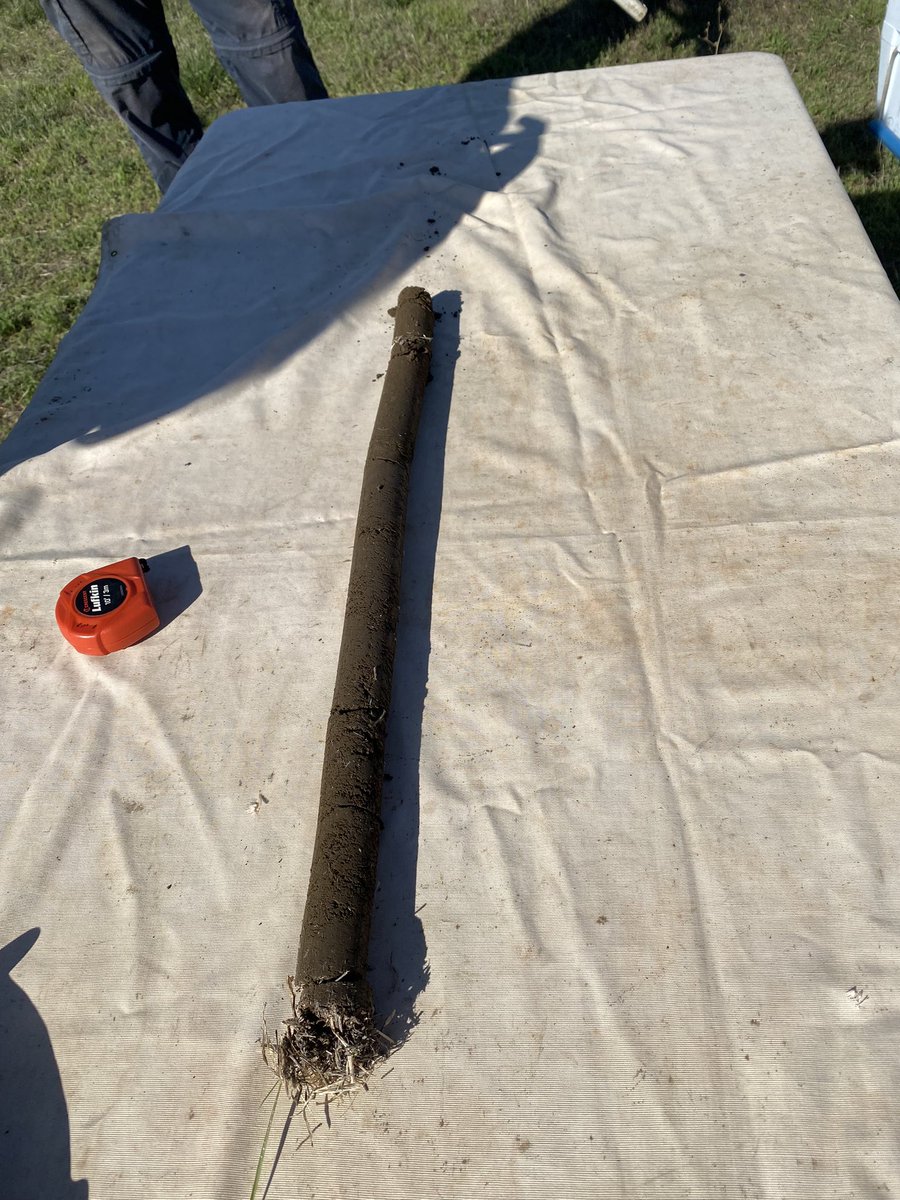 UCDRange's tweet photo. Field fun with the Giddings probe! 🌱🐑

#targetedgrazing #nativeplant #restoration #grasslands #BAAwatch

@UCDavisPlants @ucdavisCAES @ucanr https://t.co/7IZbUuLV2g