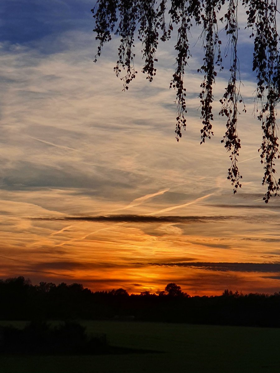 OdenbachWitt's tweet image. Good night everyone