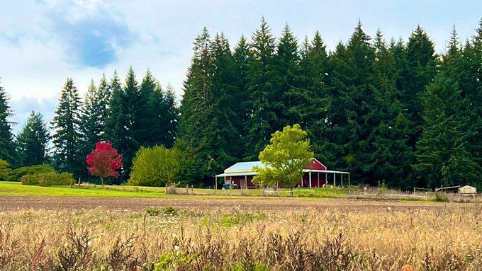 My parents went pumpkin picking today. 🧡 https://t.co/aoW3tQ6hfu