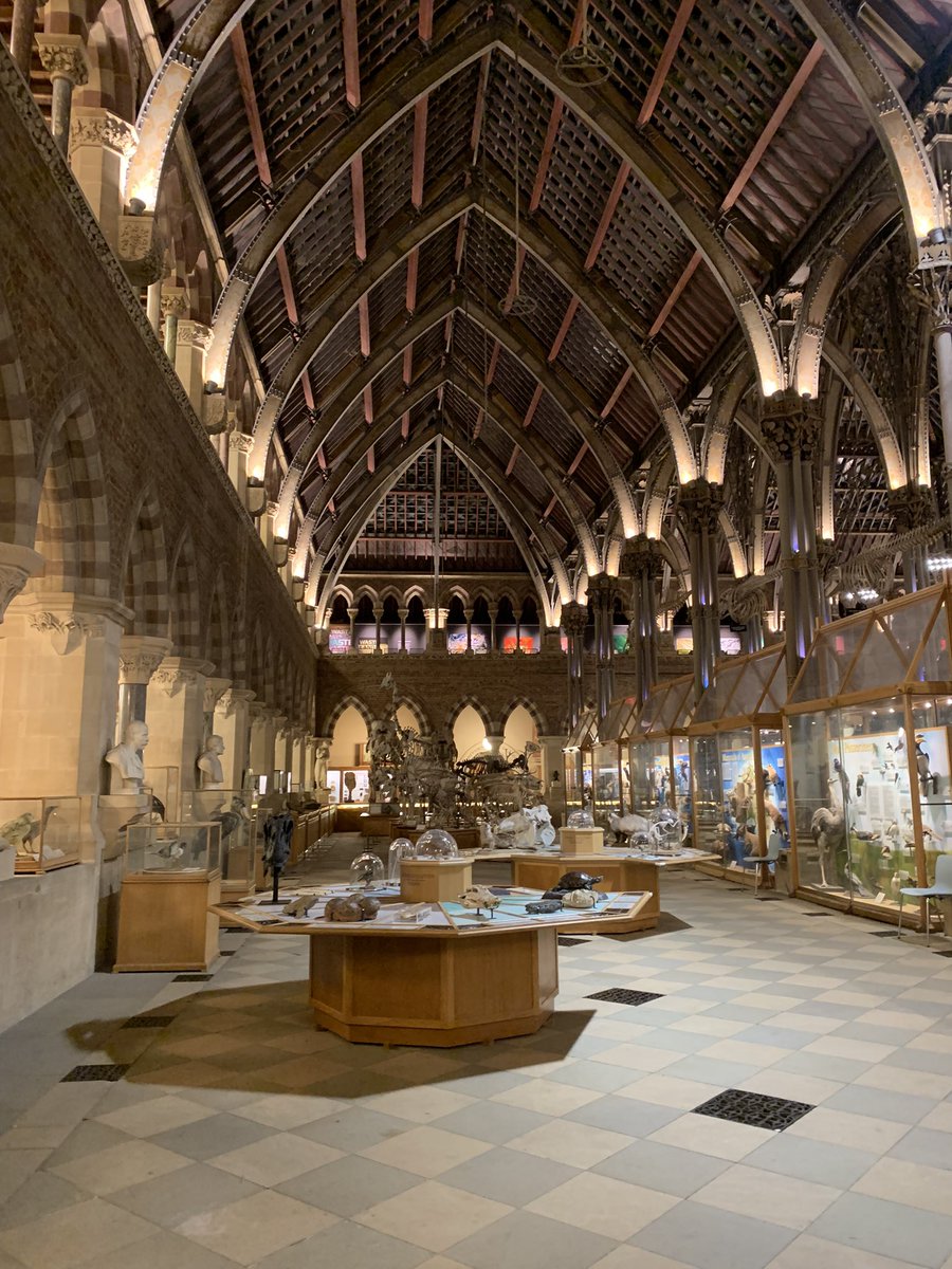 Devi Satarkar tweet media