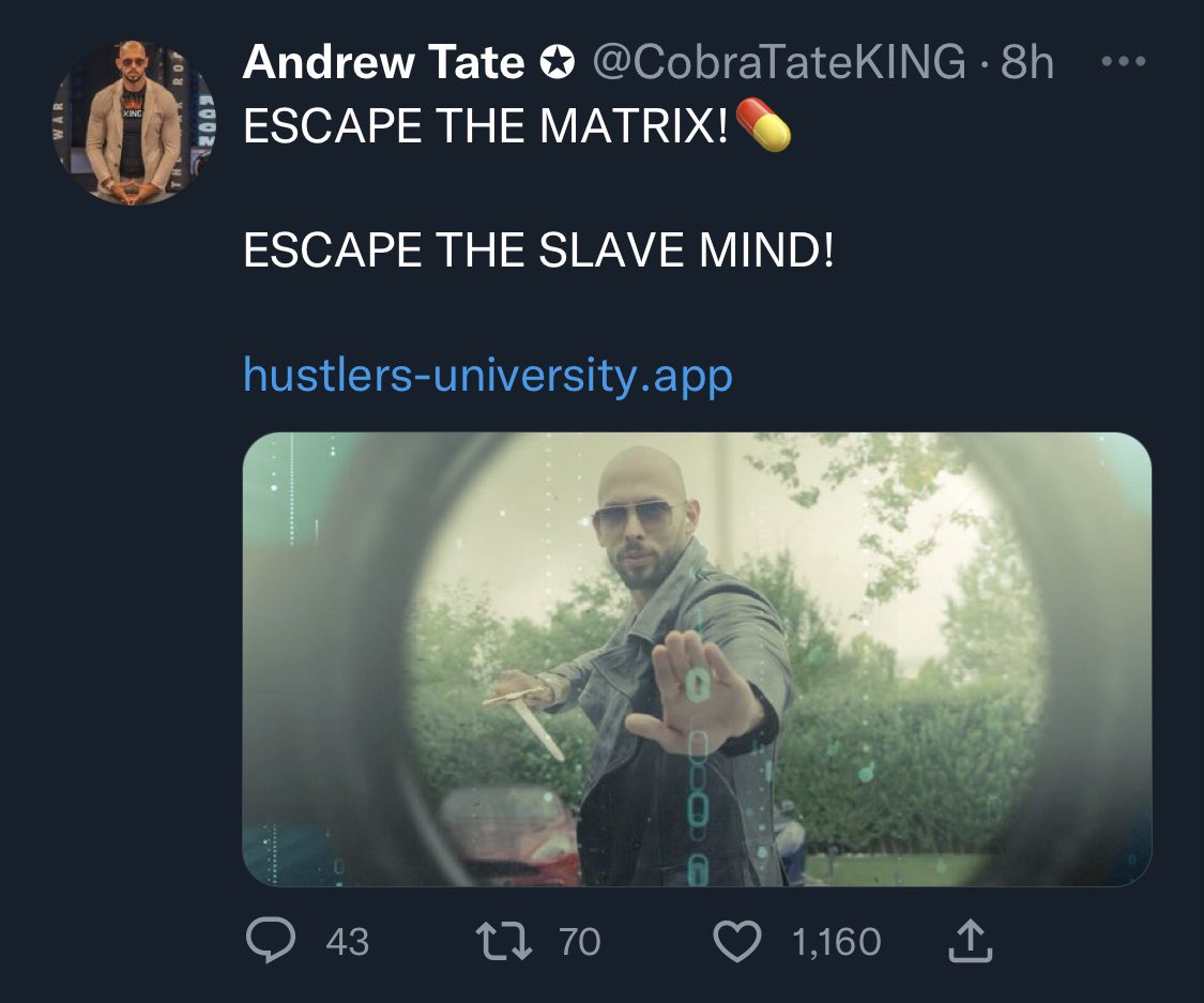 Is Andrew Tate's Hustlers University a Pyramid Scheme?