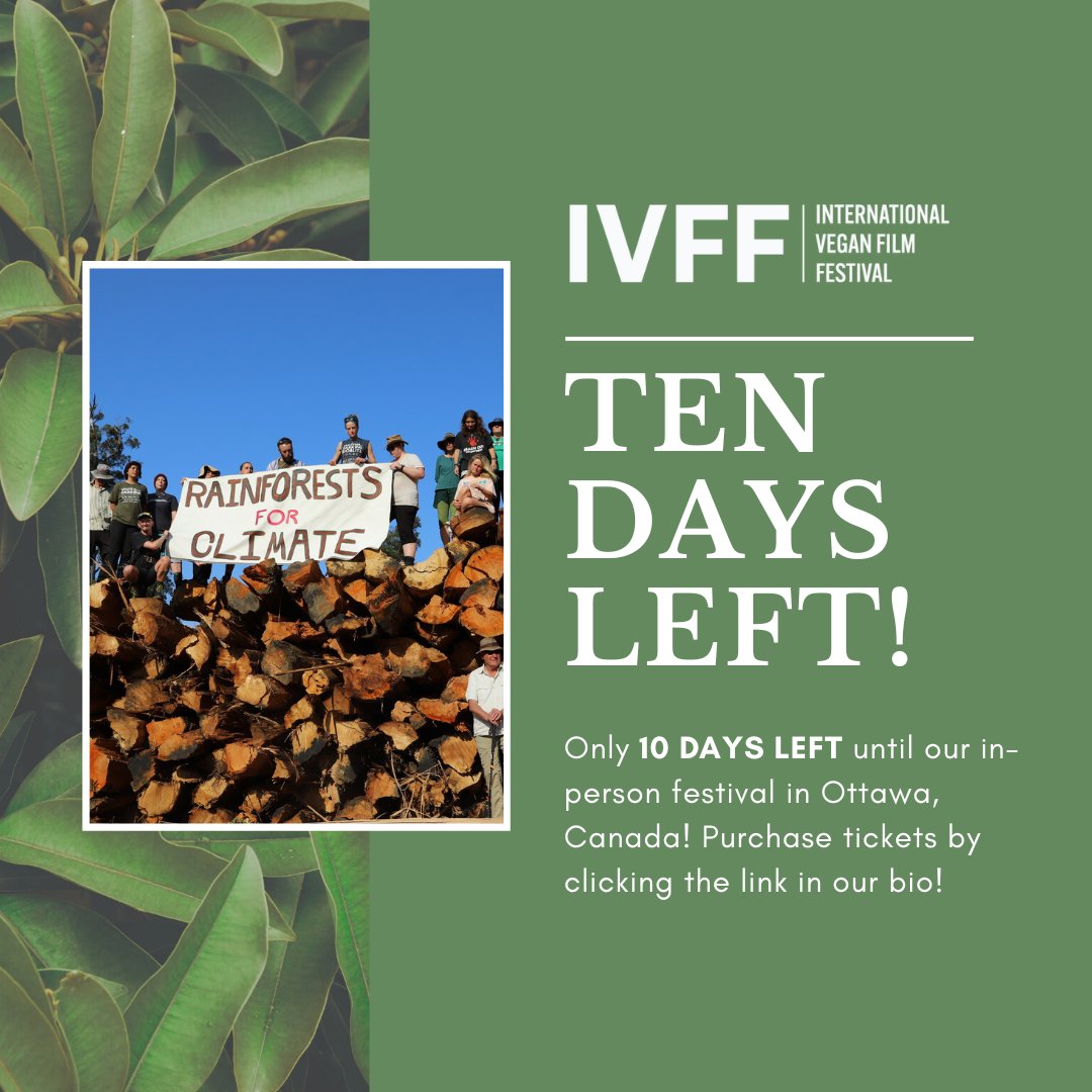 We're getting close!! Only 10 days until the in-person Ottawa Festival! Buy your tickets now at theivff.com/tickets🌱 . . . #veganfilmfest #veganfilmfestival #filmfestival #veganfilm #vegan #plantbased #plantbaseddiet #climatechange #animallover #canada #ottawavegan