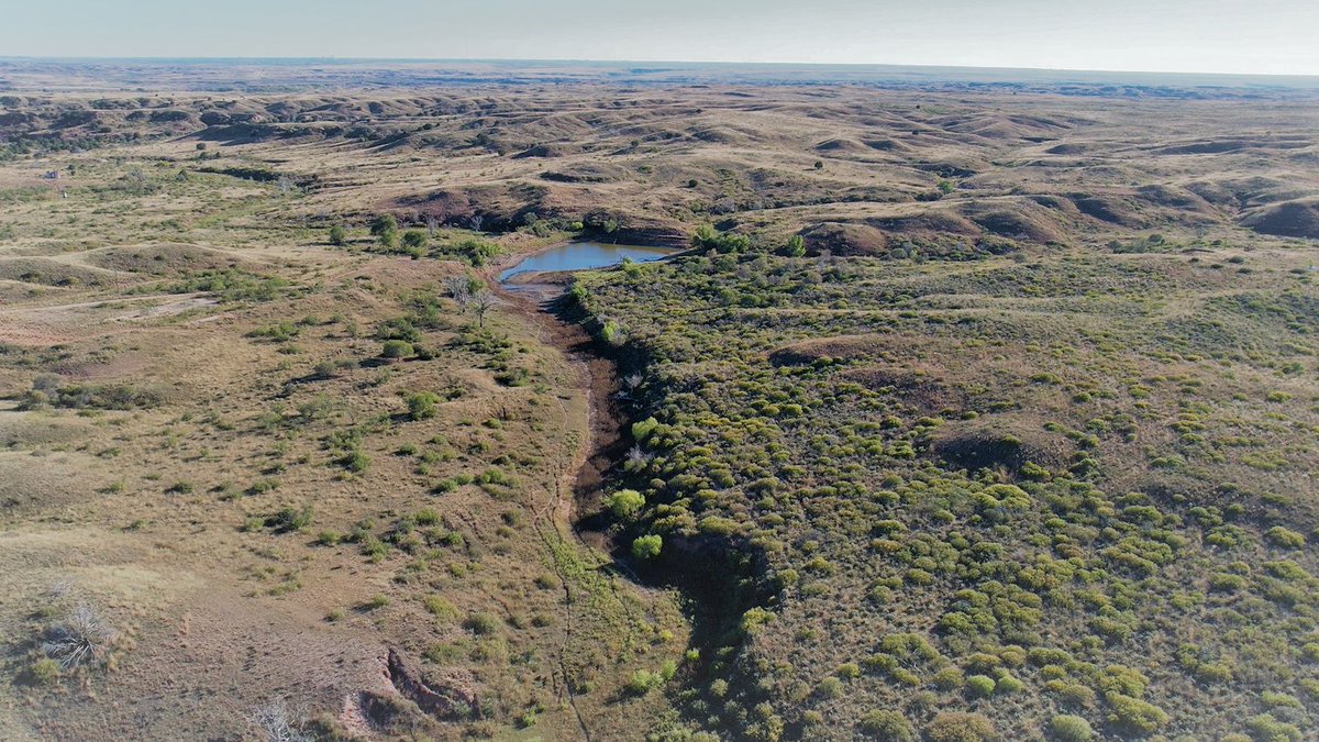 OgallalaLife's tweet photo. We have a collab w/ @dMeter4dmrv and pilot project planning in the works, to begin on this particular #watershed which features some interesting #geohydrology - hills remnant #ogallala, bluffs outcrop #dockum
agroforestry, check dams, 🦫, see what happens, adapt...
#LFG #DeSci https://t.co/rhevHPx8Br