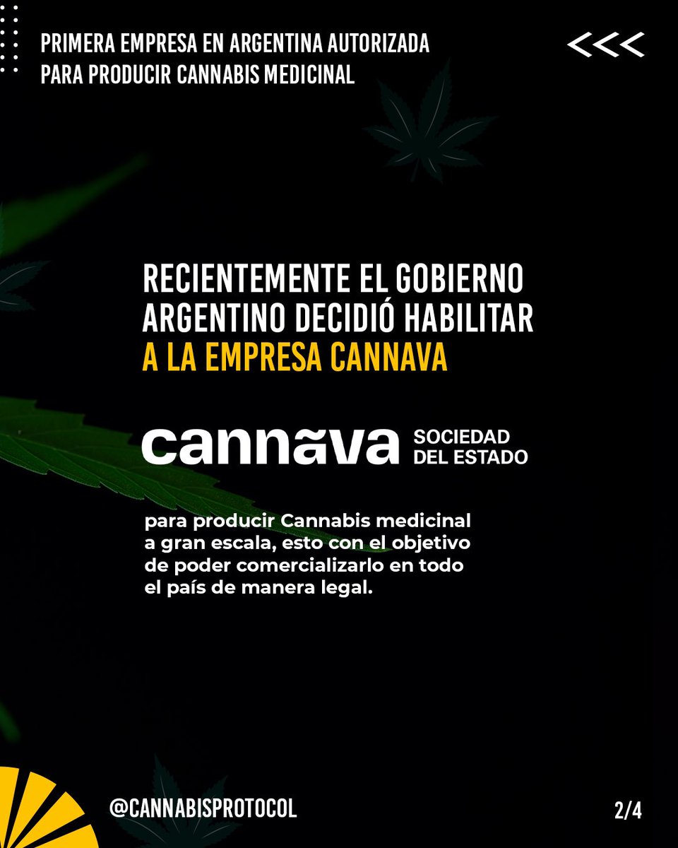 Cannabis Protocol tweet media
