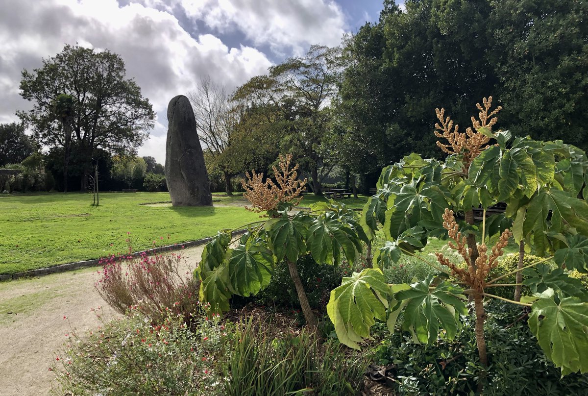 goelandmoqueur's tweet photo. Dans les jardins du parc de la mairie d'Avrillé, le "Roi des menhirs" trône avec ses sept mètres (hors sol) ... ce qui en fait le plus haut menhir de Vendée.
#avrille #vendee le 24 octobre 2022. https://t.co/rVvlljzdgq