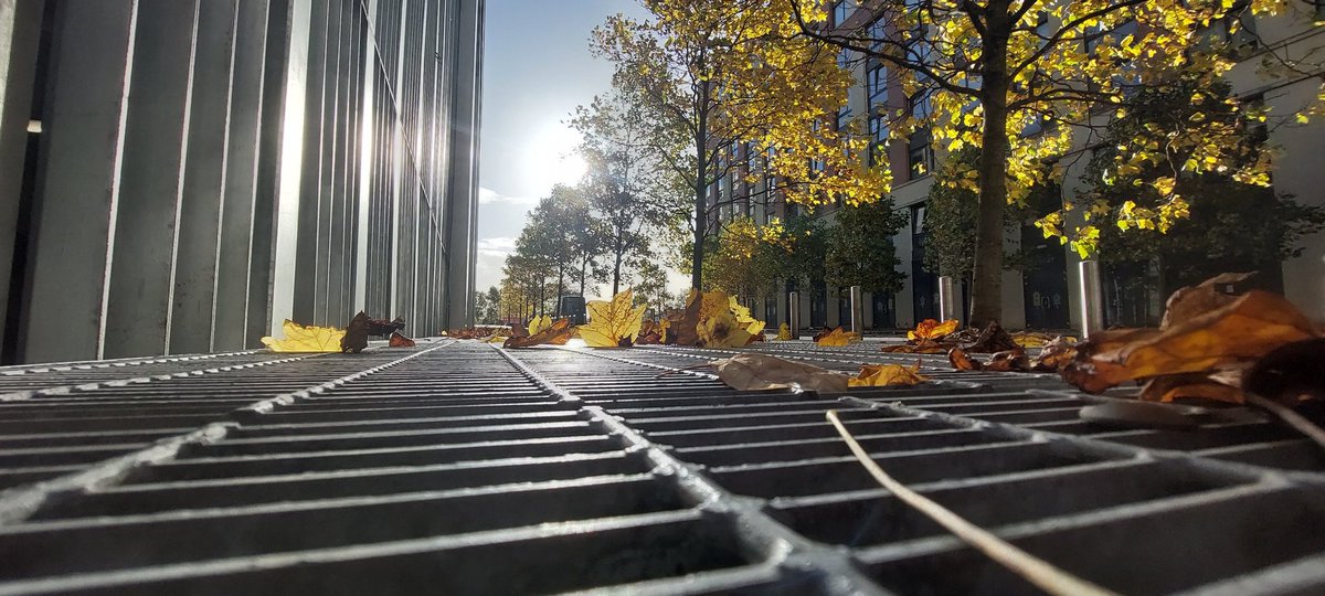 I love it when the sun comes out in the autumn. (Collegelands, just off Duke Street) #Glasgow