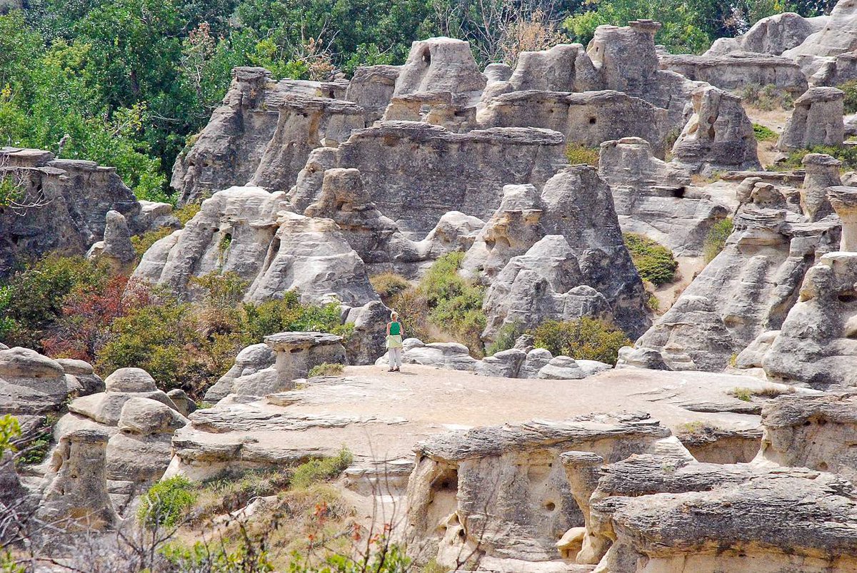 NEW: The top 150 unusual things to see in #Alberta by Debbie Olsen - a book review &amp; #Giveaway 
hikebiketravel.com/top-150-unusua…