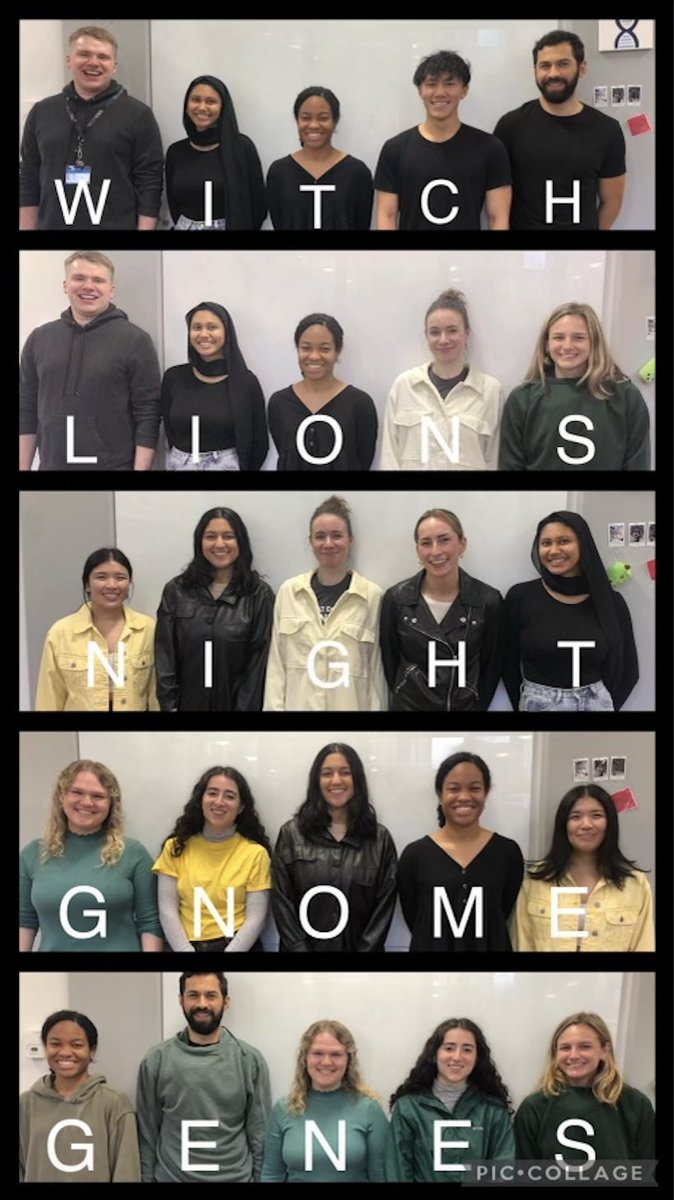 Happy #Hallogene22 🎃🧬 Columbia GCP won Wordle today!!! 

Please help us win the #Hallogene trophy by LIKING THIS TWEET!

<a href="/ASGCGP/">Augie-Sanford GCGP</a> <a href="/HallogeneT/">Hallogene the Trophy</a> #GeneChat