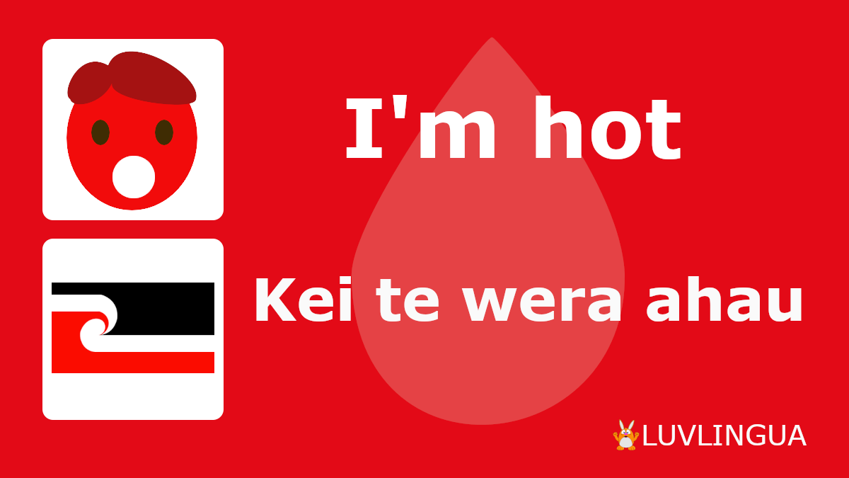 LuvLingua's tweet photo. Learn a Māori phrase today!
#learnmaori #tereomaori #luvlingua #speakmaori https://t.co/Ls54q7ym1K