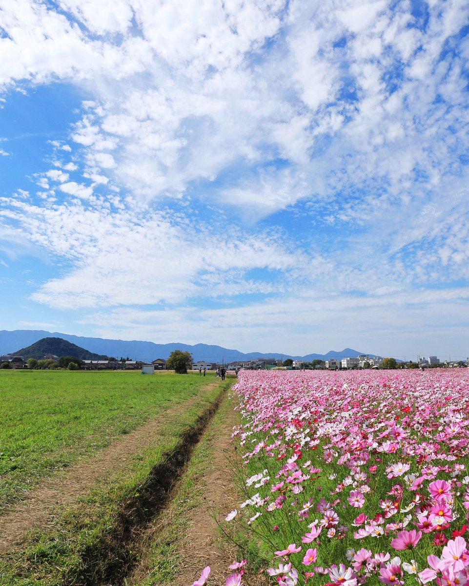 おはようございます😄 今日も一日頑張っていきましょう👍