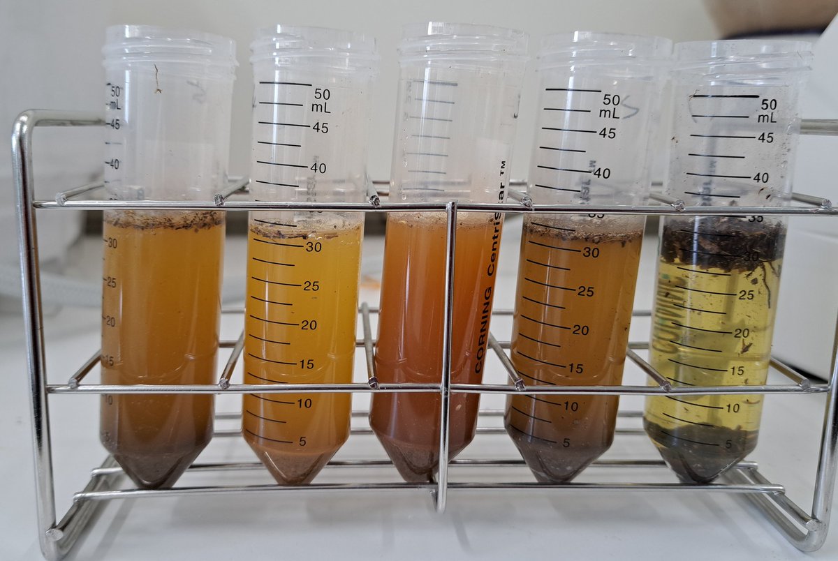 MAKOTO ICHIKAWA (@MK_ICHIKAWA) / Posts and Replies / X