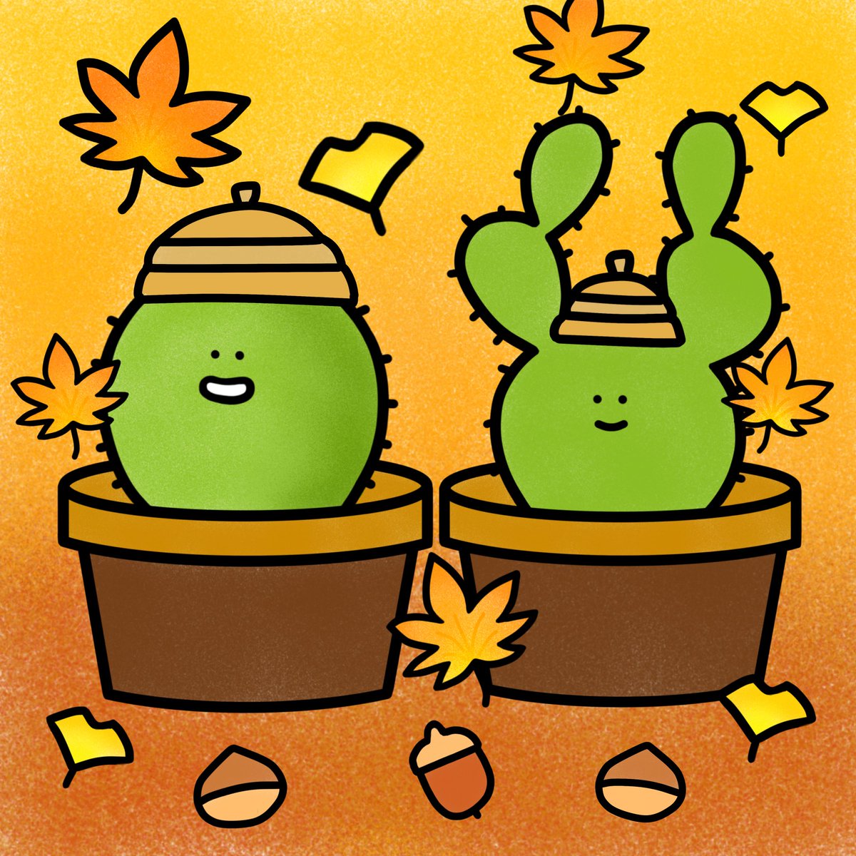 🌵はっしー🌵サボサボファーム🌵 tweet media