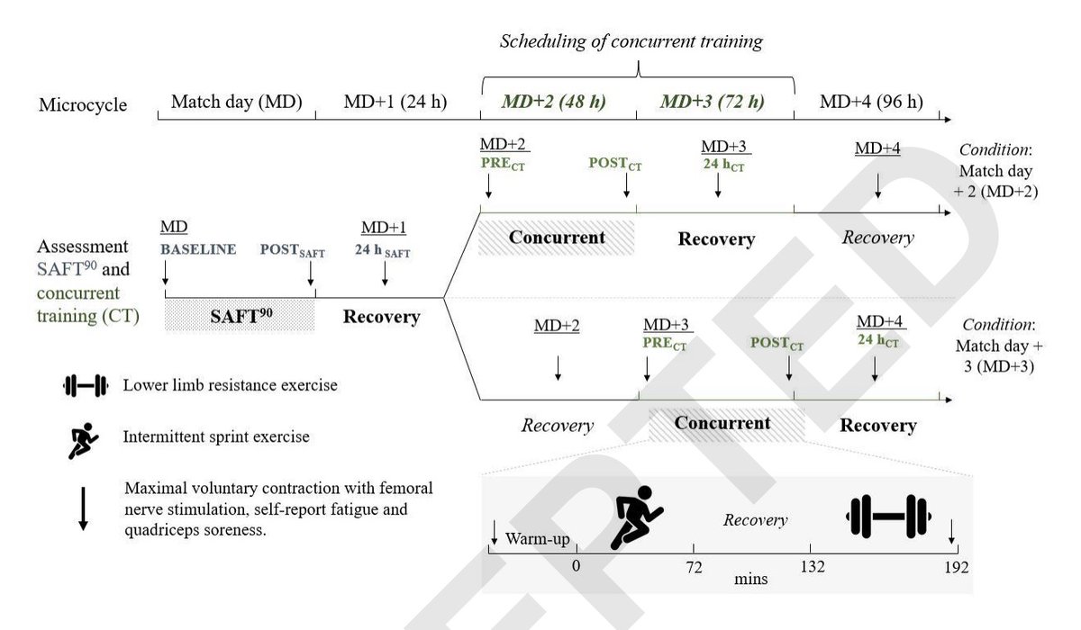 Ric Lovell (@ric_lovell) on Twitter photo Our latest investigation into micro-cycle scheduling team-sports:
🗣️Scheduling Concurrent Training 48 versus 72 h Following Simulated ⚽️ Matchplay: Effects on Neuromuscular Function and Fatigue
journals.lww.com/acsm-msse/Abst…
👏 Amazing effort Dr <a href="/RLCross_/">Rebecca Cross</a> Our latest investigation into micro-cycle scheduling team-sports:
🗣️Scheduling Concurrent Training 48 versus 72 h Following Simulated ⚽️ Matchplay: Effects on Neuromuscular Function and Fatigue
journals.lww.com/acsm-msse/Abst…
👏 Amazing effort Dr <a href="/RLCross_/">Rebecca Cross</a>