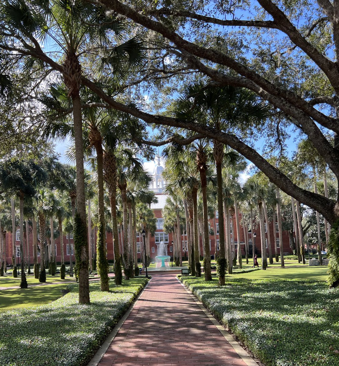 Addison Foster tweet media