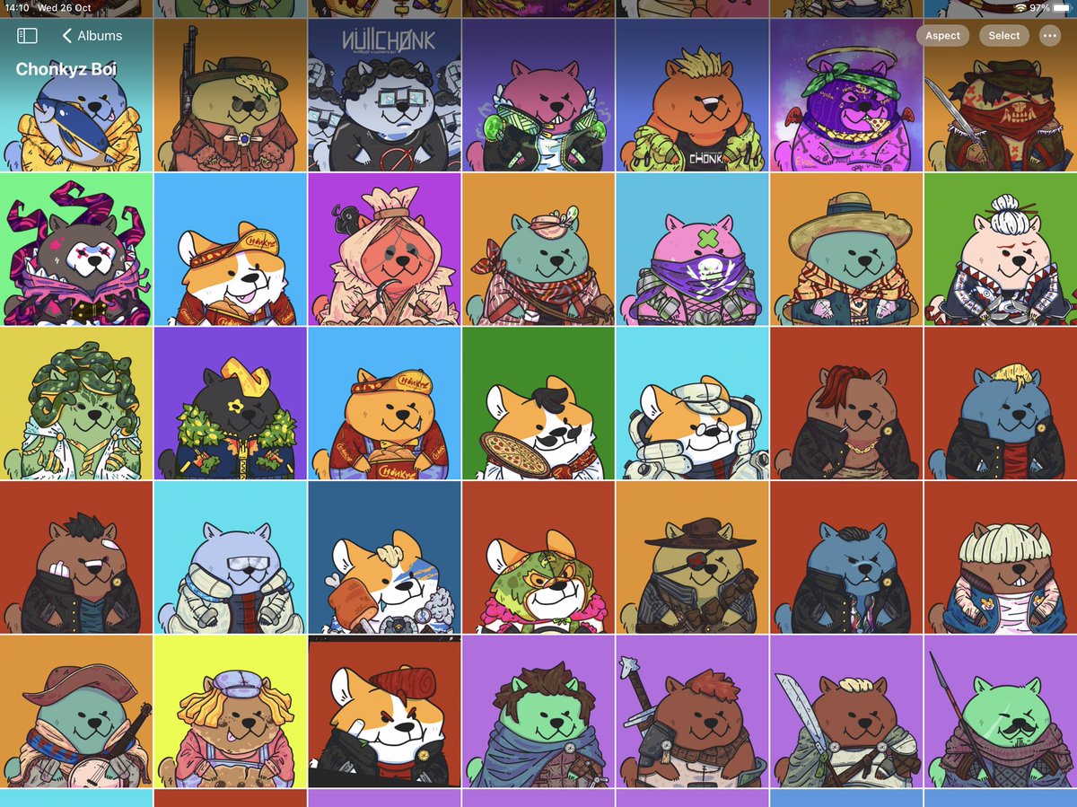 All you need is chonk !!!