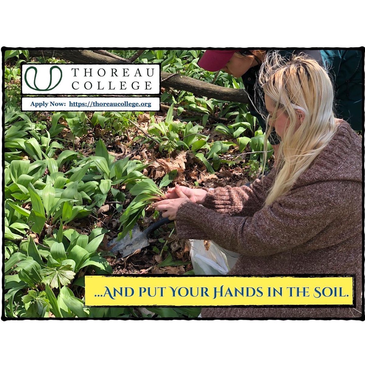 MicrocollegePod's tweet image. There are a couple of places left in the Thoreau College Spring Semester Program, rooted in rural southwestern Wisconsin. Ideas. Labor. Community. Art. Nature.  Higher Education for the Whole Human Being thoreaucollege.org/spring-2023-cu…