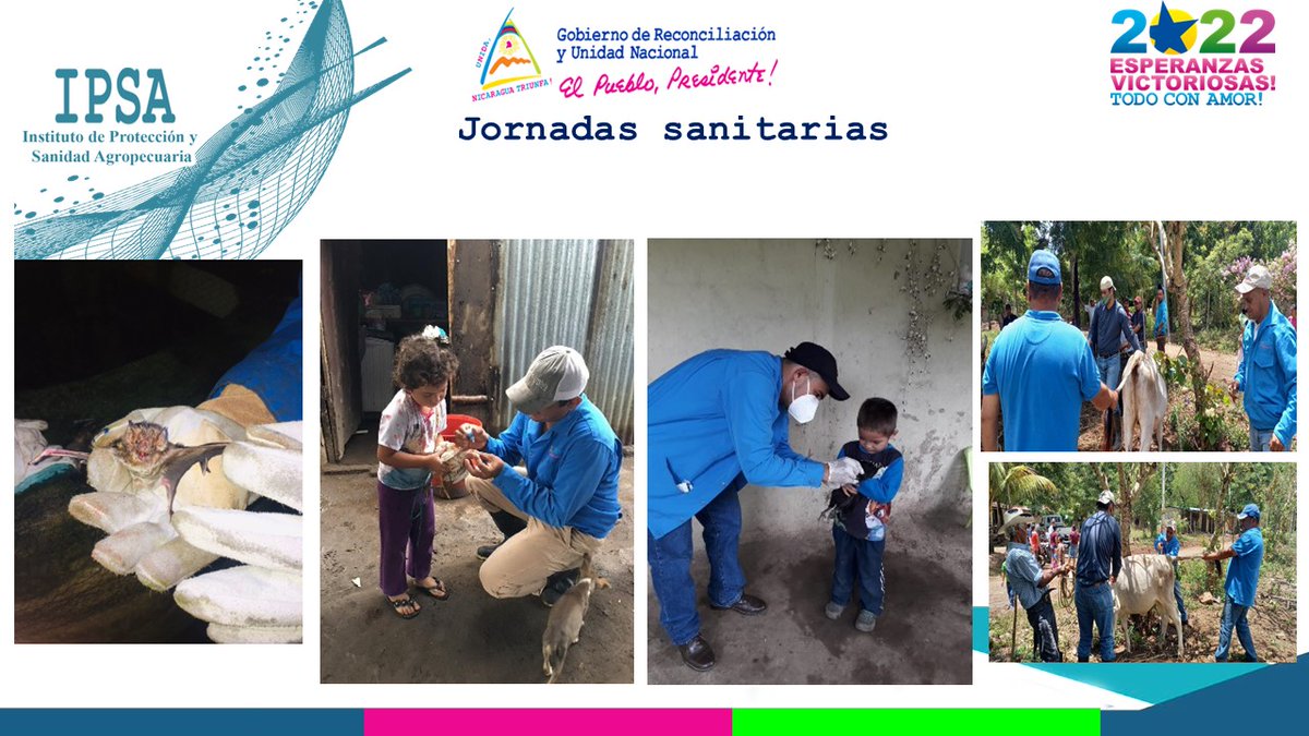 📣𝗡𝗢𝗧𝗔 𝗜𝗡𝗙𝗢𝗥𝗠𝗔𝗧𝗜𝗩𝗔 || Se realiza webinar con la temática Programas y Campañas Sanitarias en las Distintas Especies de Producción🐮

🌐En el siguiente link te compartimos el desarrollo de esta actividad 👉 bit.ly/3NcO4be

#Nicaragua