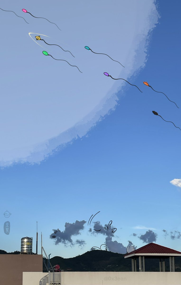 豆子世界 tweet media