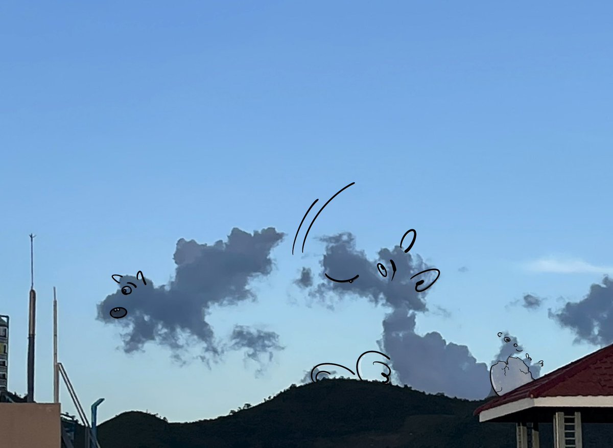 豆子世界 tweet media