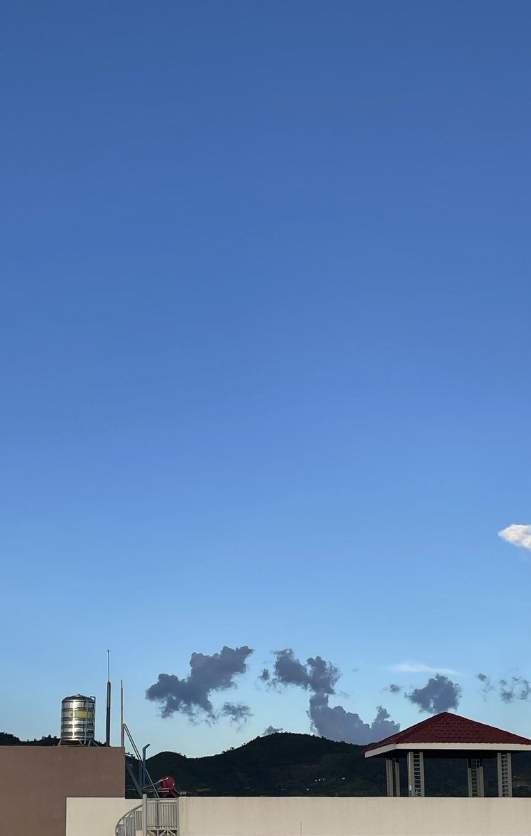 豆子世界 tweet media