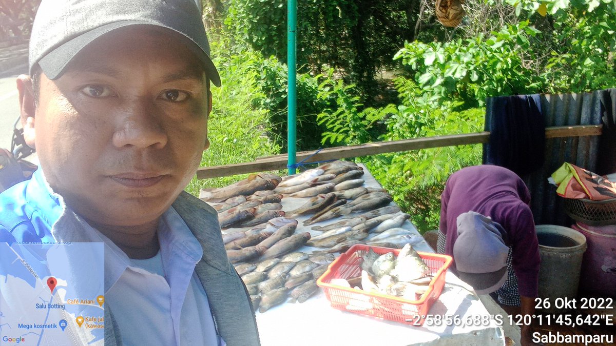 IkraRYasmin's tweet photo. Rabu 26/10 ,Ikra, Luhkan Kota Palopo, di Kel.Sabbamparu Kec. Wara Utara, mlporkan produksi tangkapan ikan milik kub pallibu sabbamparu sbnyk 40 kg, hrga Jual 50-100ribu/kg  #luhlapor #GiatLuhkanSatminkalMaros #kotapalopo #Tangkap @brsdm_kp @puslatluhkp @BRPBAP3_Maros https://t.co/bLqc68DhwH