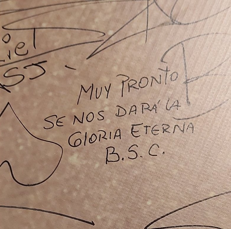 Bollo De Pescado tweet media