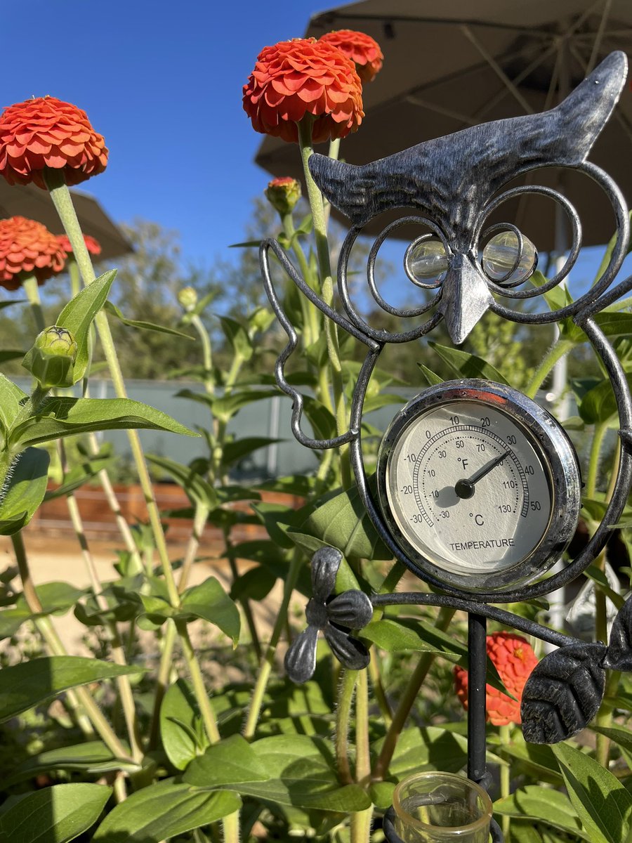 Definitely Halloween in S California! <a href="/LearnAboutAg/">CA Ag In The Classroom</a> <a href="/LVUSD/">LVUSD</a> <a href="/AEWrightMS/">A.E. Wright MS</a>