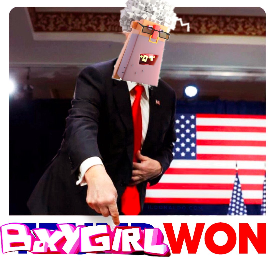 mitchconnorfr's tweet photo. Recap, why boxy girl won 👇 #metaverse #nfts #icp #land #web3 #boxydude #boxyverse https://t.co/EGekLbgduG