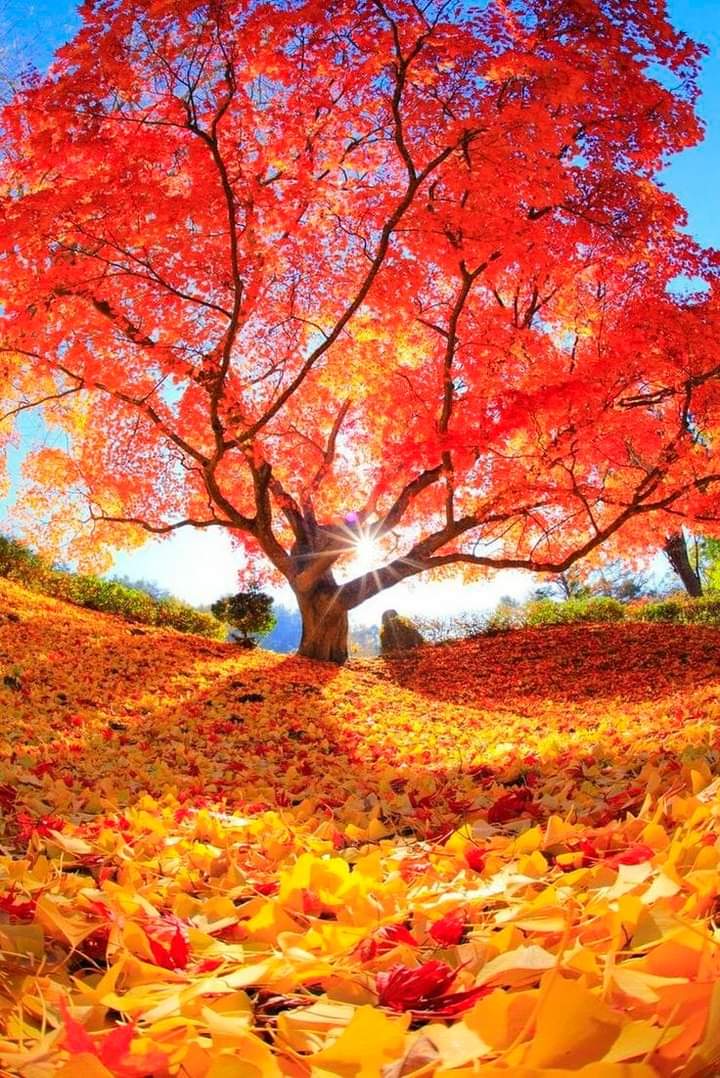 3D2023's tweet image. Sweet dreams 
Good night