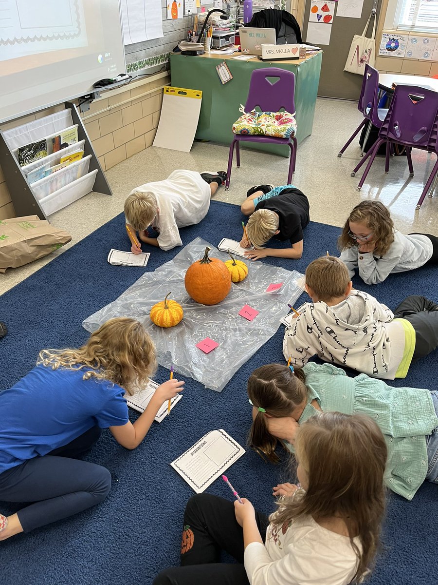 Tina Mikula tweet media