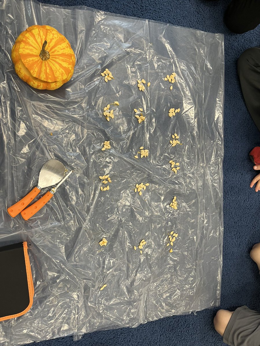 Tina Mikula tweet media